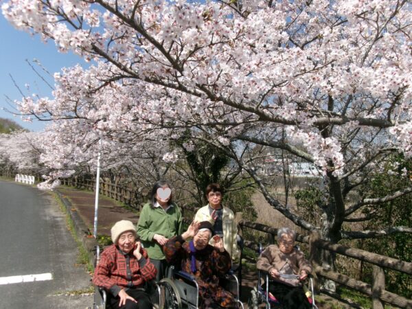 1237bc6c05b03dca550b95c6e4e553cf 600x450 - お花見❀２０２６