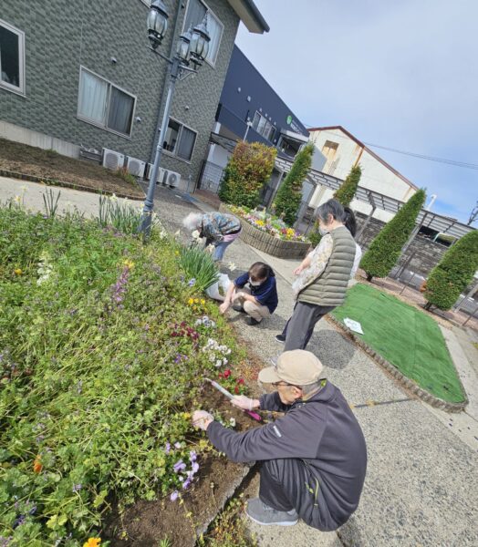 31e010ea77d697ed6c0c3a9fb6841664 524x600 - 花壇クリーンアップ作戦！