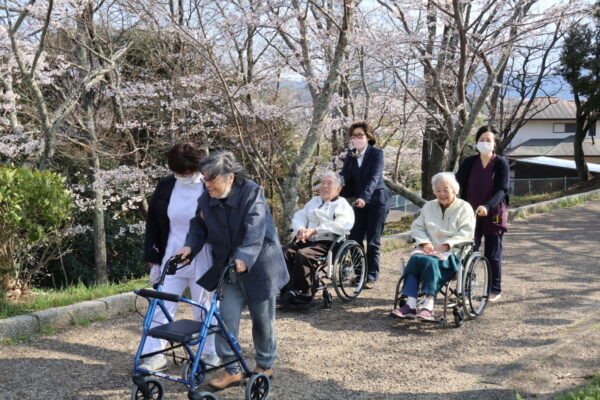 IMG 1233 600x400 - 平尾山カルチャーパークでお花見