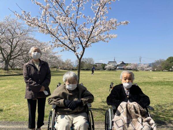IMG 12401 600x450 - 平尾山カルチャーパークでお花見