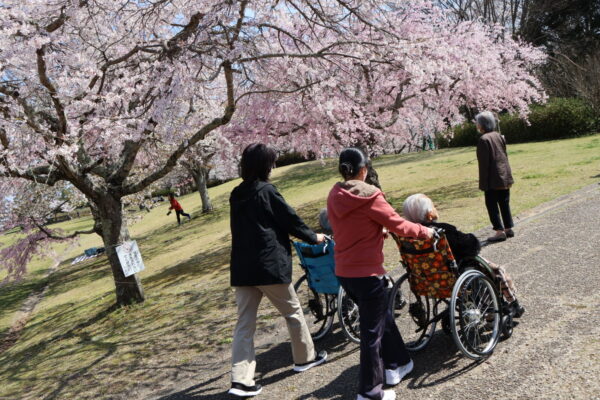 IMG 1271 600x400 - 平尾山カルチャーパークでお花見
