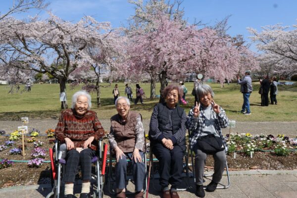 IMG 1272c 600x400 - 平尾山カルチャーパークでお花見