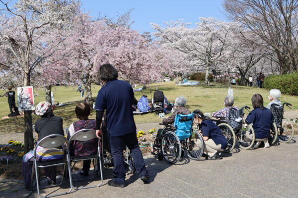 IMG 1286 1 600x400 - 平尾山カルチャーパークでお花見