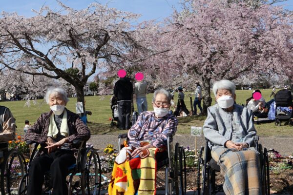 IMG 1291c 600x400 - 平尾山カルチャーパークでお花見