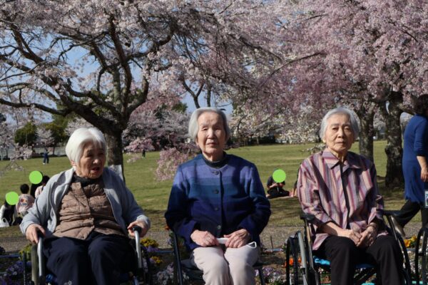 IMG 1294c 600x400 - 平尾山カルチャーパークでお花見