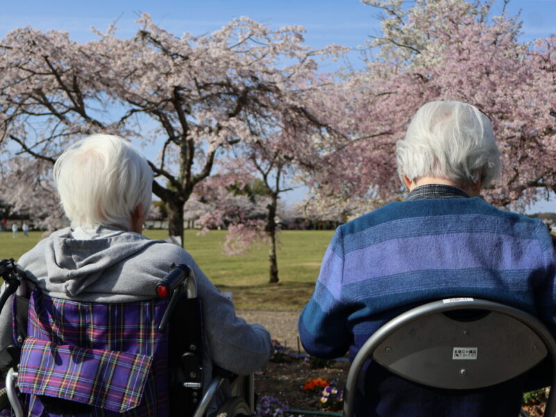 IMG 1298 800x600 - 平尾山カルチャーパークでお花見