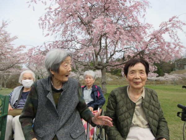 IMG 5953 600x450 - 今年もお花見に行ってきました！！