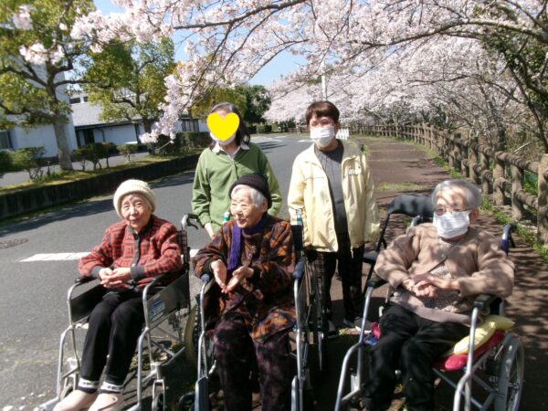 e3006d5dc39bdf866979ba78f55d949d 600x450 - お花見❀２０２６