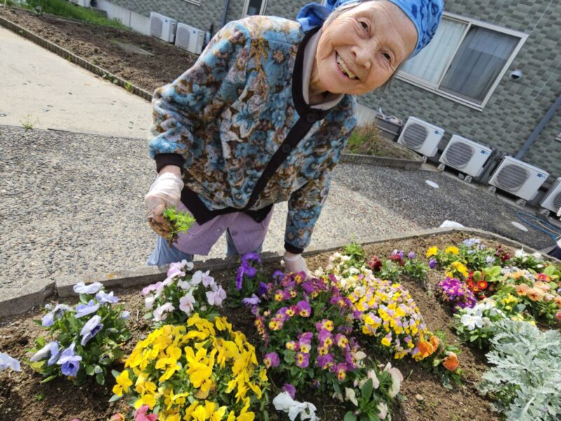 fccbd6a92ff21d1c42d976f5540078eb 800x600 - 花壇クリーンアップ作戦！