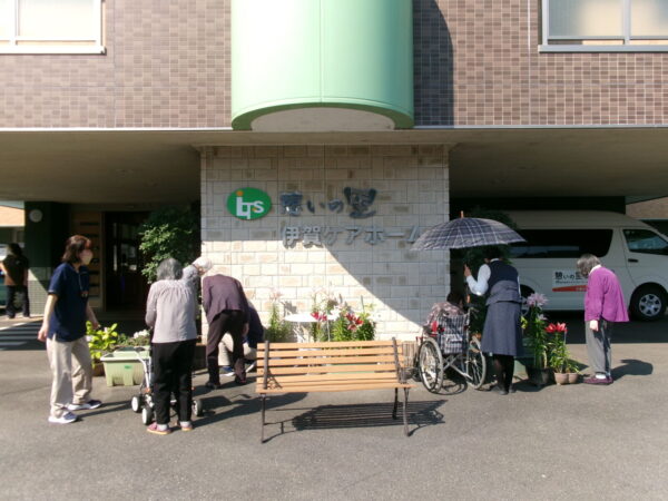 102 5619 600x450 - 楽しみな🌻あさがお