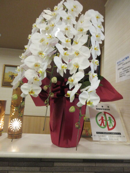 ✨祝✨LTS創立30周年🎊 IMG 6937 450x600 - ✨祝✨LTS創立30周年🎊