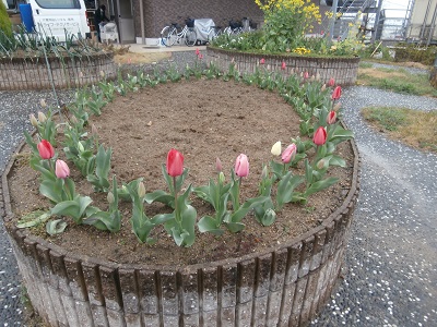 0cdbd871dfb44715c673e7bd2346ae52 - 🌷春が来た🌷