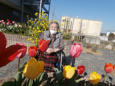 春が来た ver.2🌷🌷🌷 b602636931843a4f63ce6beeaa0cb74a - 春が来た ver.2🌷🌷🌷