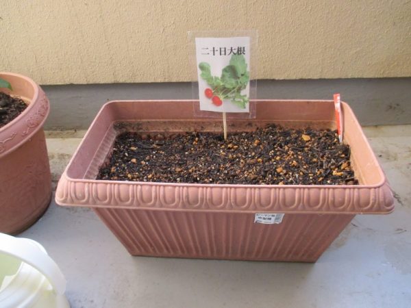 IMG 0009 600x450 - プランター菜園