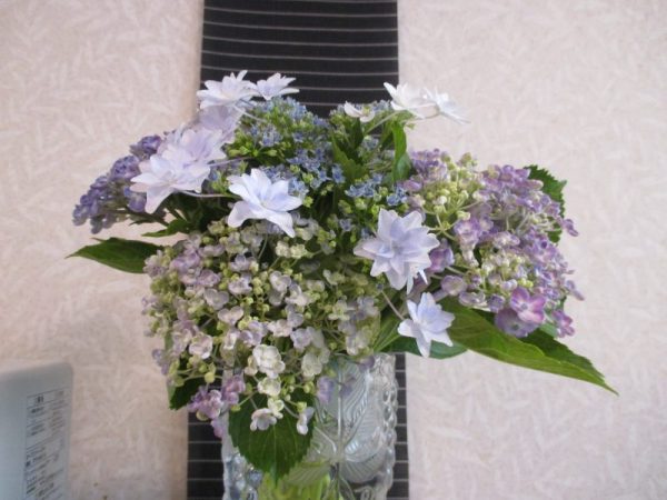 20200610c 600x450 - ユニットの様子