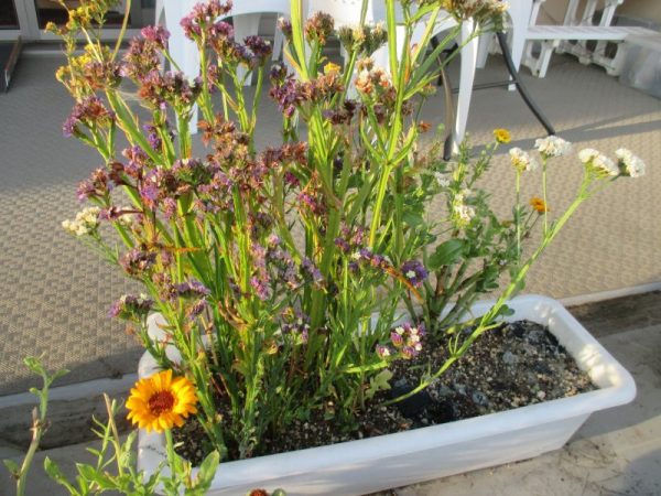 20200615a 600x450 - ユニットの様子