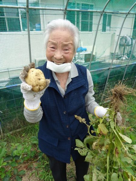 DSC02172 450x600 - 【園芸】じゃがいもの収穫