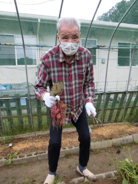 CIMG2369 450x600 - 【園芸】さつまいもほり①