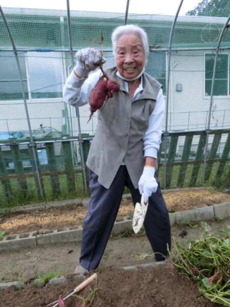 CIMG2373 450x600 - 【園芸】さつまいもほり①
