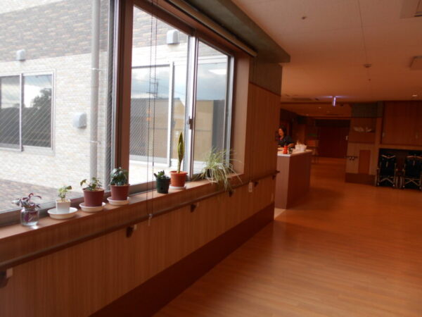 DSCN2441 600x450 - 多床室開設