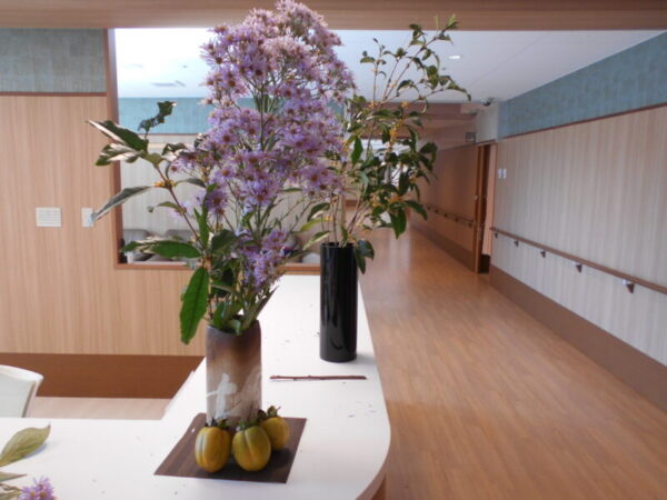 DSCN2457 600x450 - 多床室開設