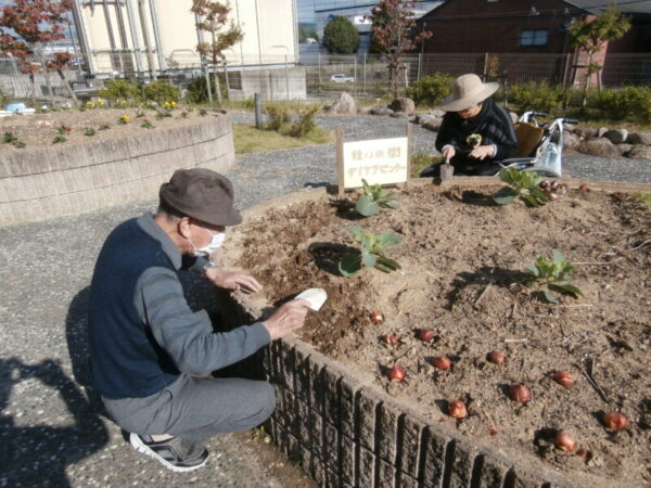 個性豊かなユニット紹介と球根植え🌷 PA260217 1 600x450 - 個性豊かなユニット紹介と球根植え🌷