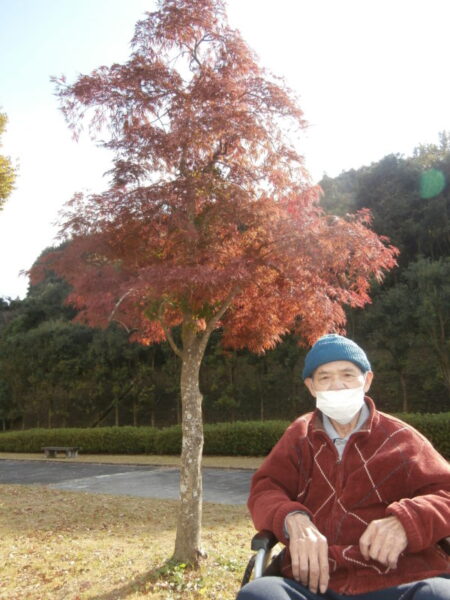 PA290219 e1604651039244 450x600 - 🍂紅葉狩り🍂