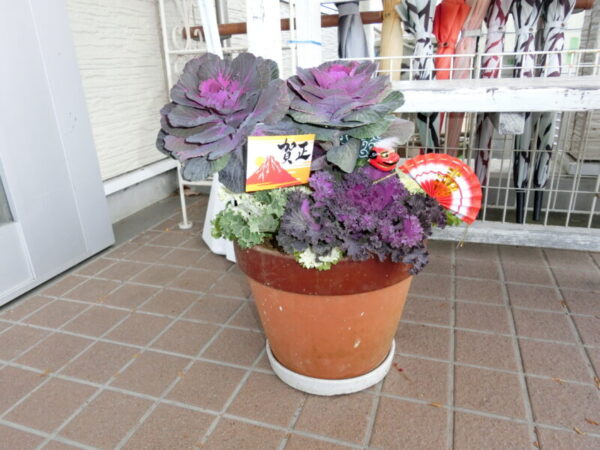 CIMG3853 600x450 - あけましておめでとうございます。