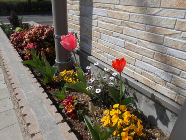 85414342aac93209a0967761fdbe45b0 600x450 - 🌷お散歩🌸・・多床室編