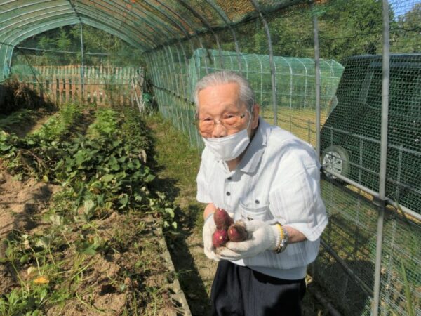 【園芸】さつまいも堀り CIMG7799 600x450 - 【園芸】さつまいも堀り