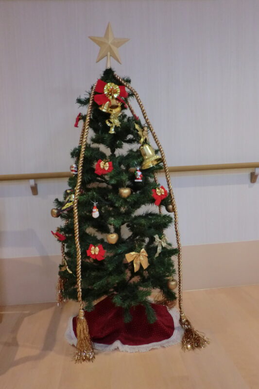 CIMG0892 - 🎄クリスマス飾り🎄・・農人町編
