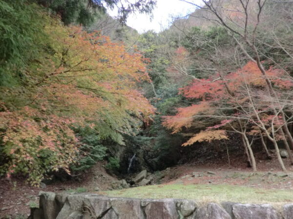 紅葉見学・・多床室編 CIMG0991 600x450 - 紅葉見学・・多床室編