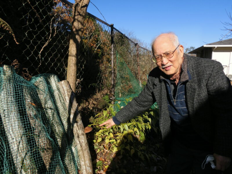 CIMG8579 800x600 - 【園芸】畑の収穫