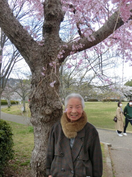 CIMG0320 450x600 - 【季節行事】お花見①