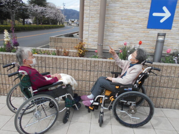DSCN6112 600x450 - お花見🌸・・多床室編