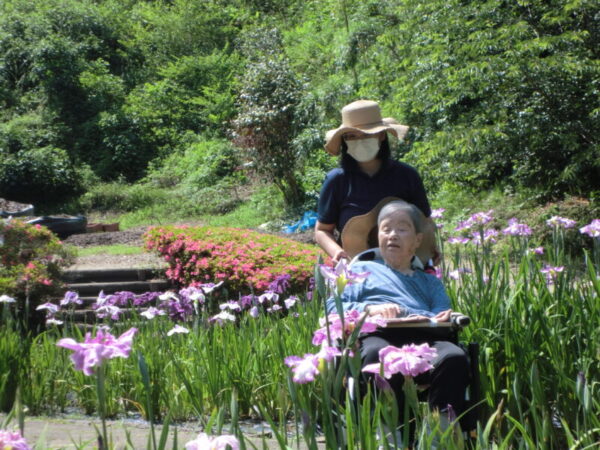 CIMG0230 600x450 - お花見ドライブ＆お散歩・・ユニット編
