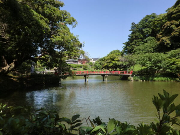 CIMG0270 600x450 - お花見ドライブ＆お散歩・・ユニット編