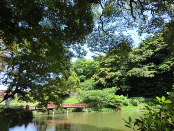 CIMG0273 600x450 - お花見ドライブ＆お散歩・・ユニット編