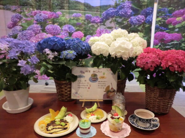 あじさい喫茶☕・・多床室編パート② CIMG0370 600x450 - あじさい喫茶☕・・多床室編パート②