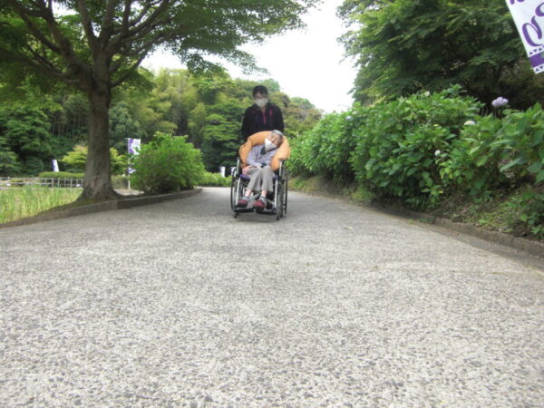 CIMG3619 600x450 - お花見ドライブ＆お散歩・・ユニット編