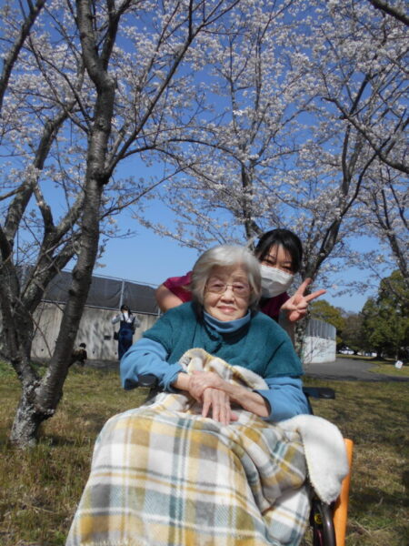 桜🌸見物・・多床室編 DSCN8490 450x600 - 桜🌸見物・・多床室編