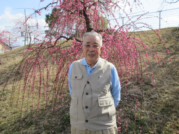 IMG 2646 600x450 - 【季節行事】観梅ドライブ