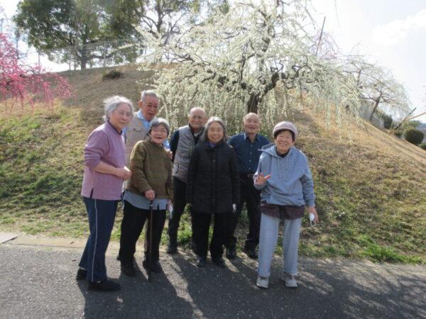 IMG 2654 600x450 - 【季節行事】観梅ドライブ