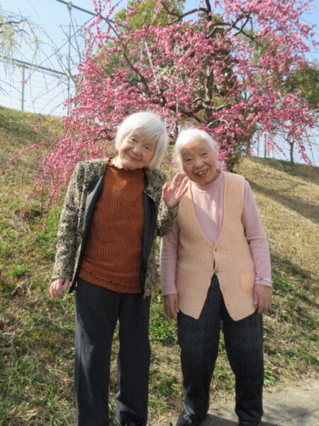 IMG 2662 450x600 - 【季節行事】観梅ドライブ