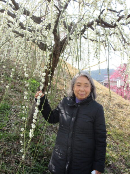 IMG 2683 450x600 - 【季節行事】観梅ドライブ