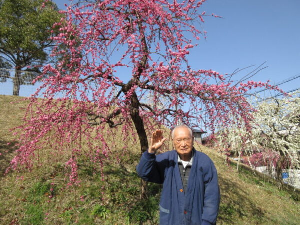 IMG 2703 600x450 - 【季節行事】観梅ドライブ