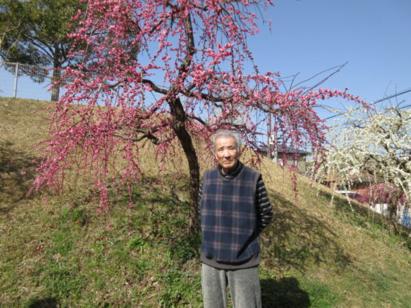 IMG 2705 600x450 - 【季節行事】観梅ドライブ