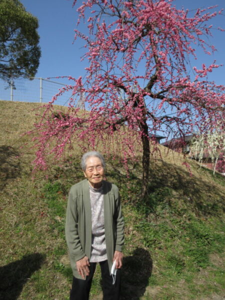 IMG 2713 450x600 - 【季節行事】観梅ドライブ