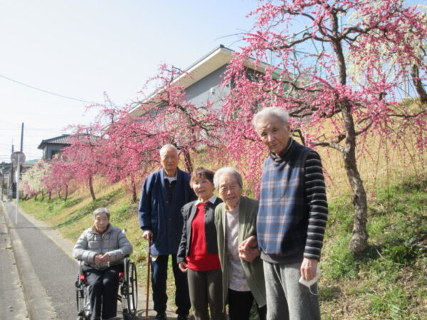 IMG 2721 600x450 - 【季節行事】観梅ドライブ