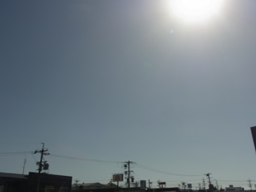 ぽかぽか日向ごっこ🌞 RIMG0515 - ぽかぽか日向ごっこ🌞